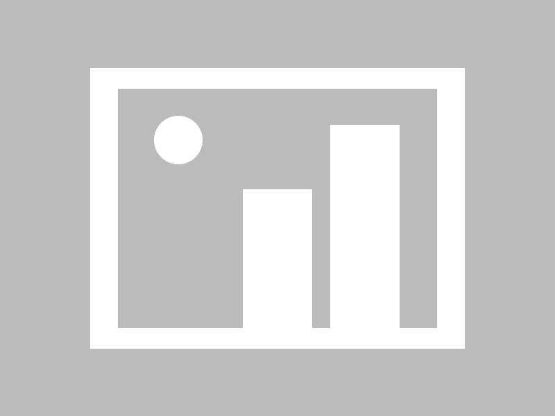 mk体育-Ward 奋勇达阵，展示强大得分能力，奋勇奋战的意思