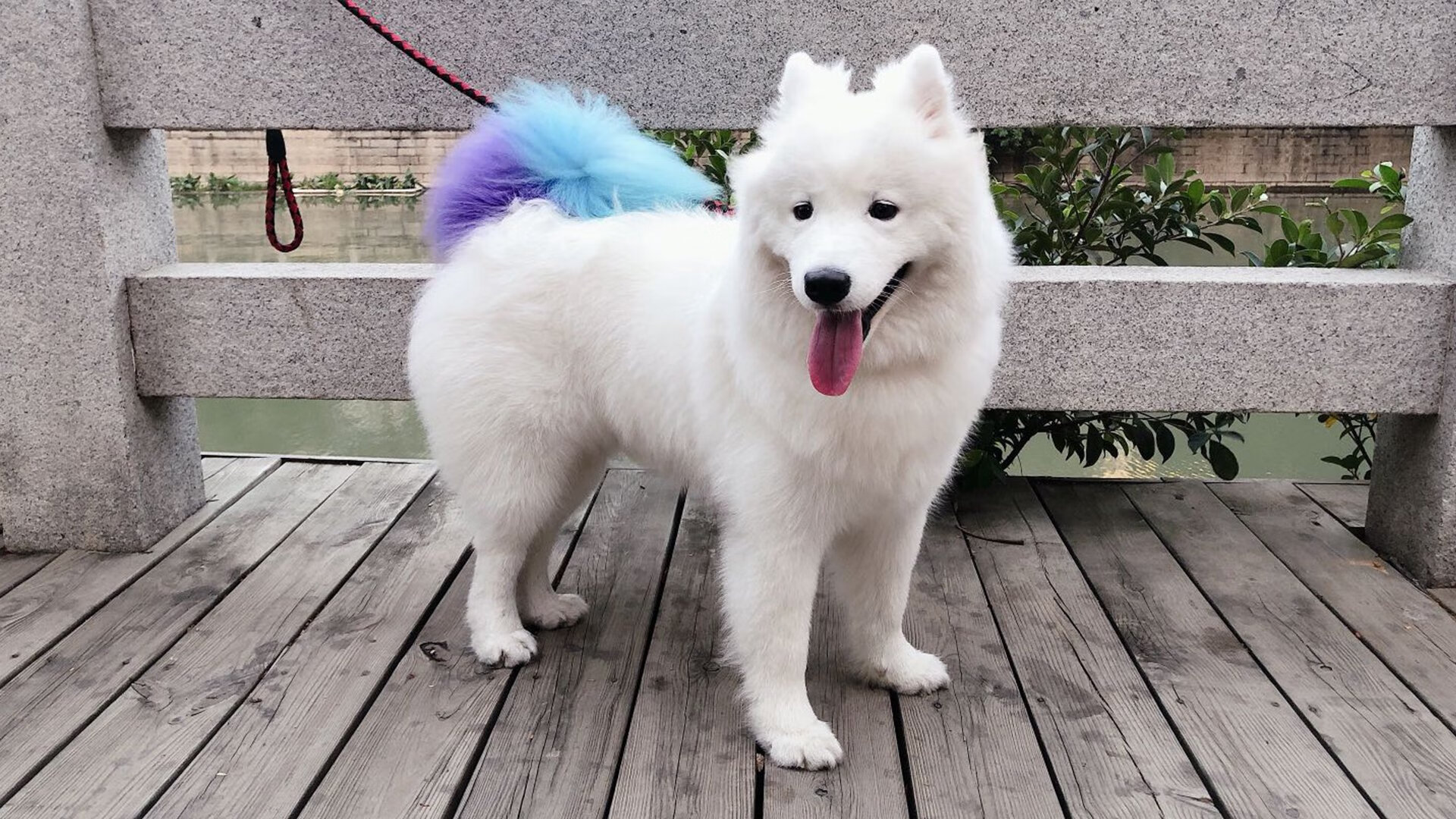 CBA球队科学管理 减少球员伤病发生,cba球队防守效率排名