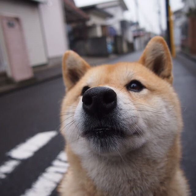 中国男篮全员积极参与技战术讨论，中国男篮规划