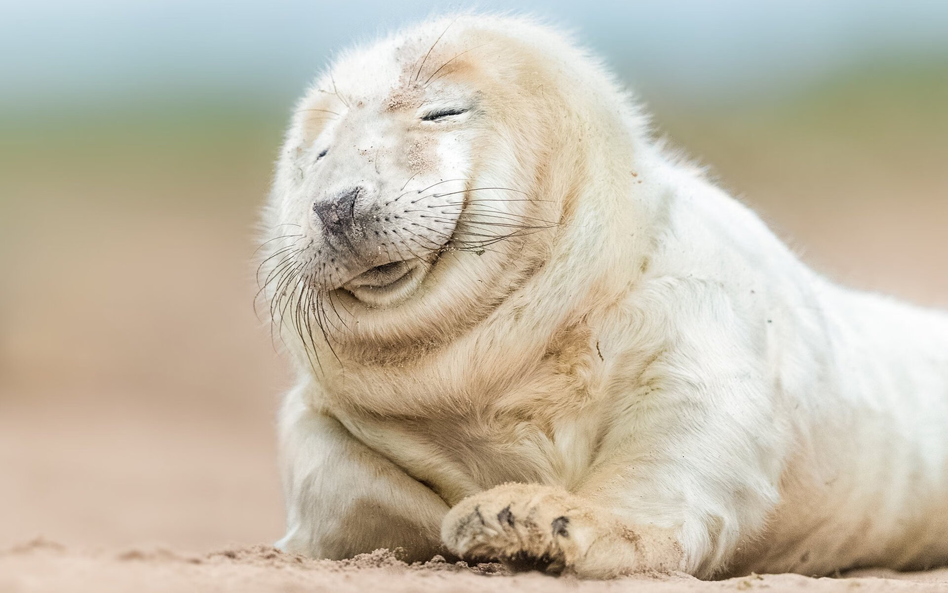 中国香港队的未来规划:如何打破现有技术限制,开创新局面,香港队名单