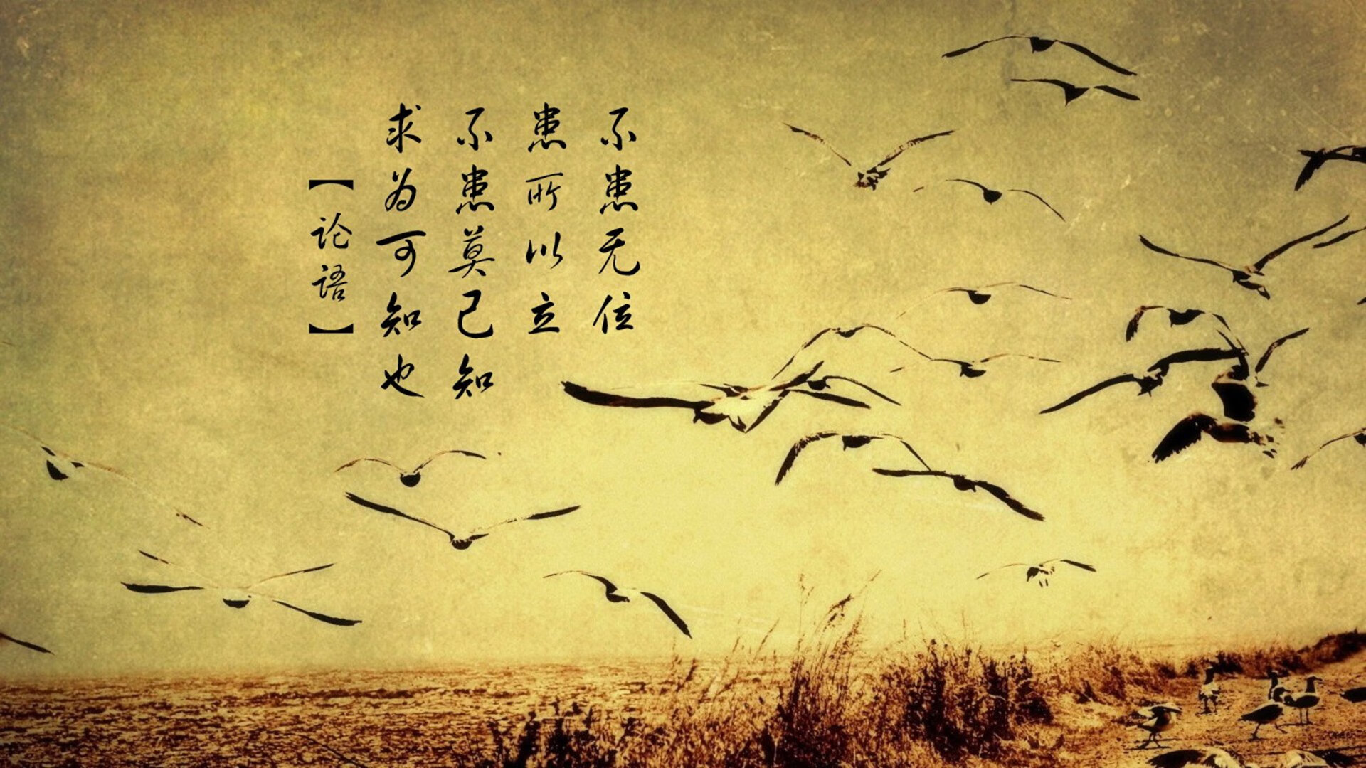 国家男篮重视年轻球员心理成长助力长远发展,男篮规划球员