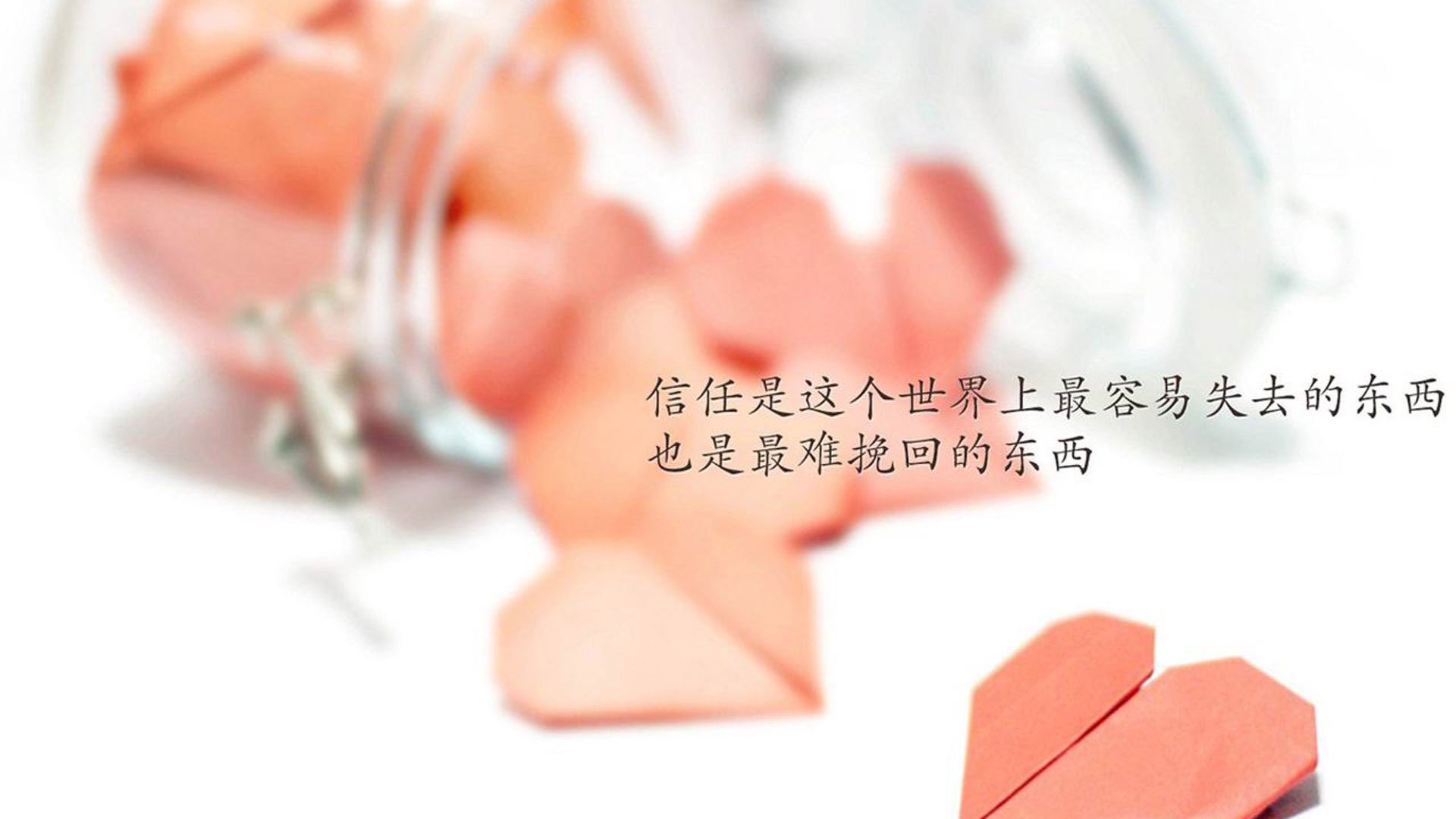 埃及队如何在2024年世界杯中冲击强队,埃及参加世界杯