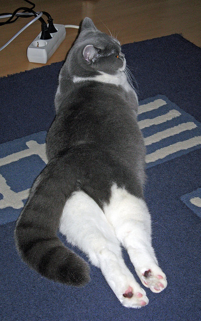 锋线跑动距离是否直接影响整场控球转换效率,锋线跑动距离是否直接影响整场控球转换效率的因素