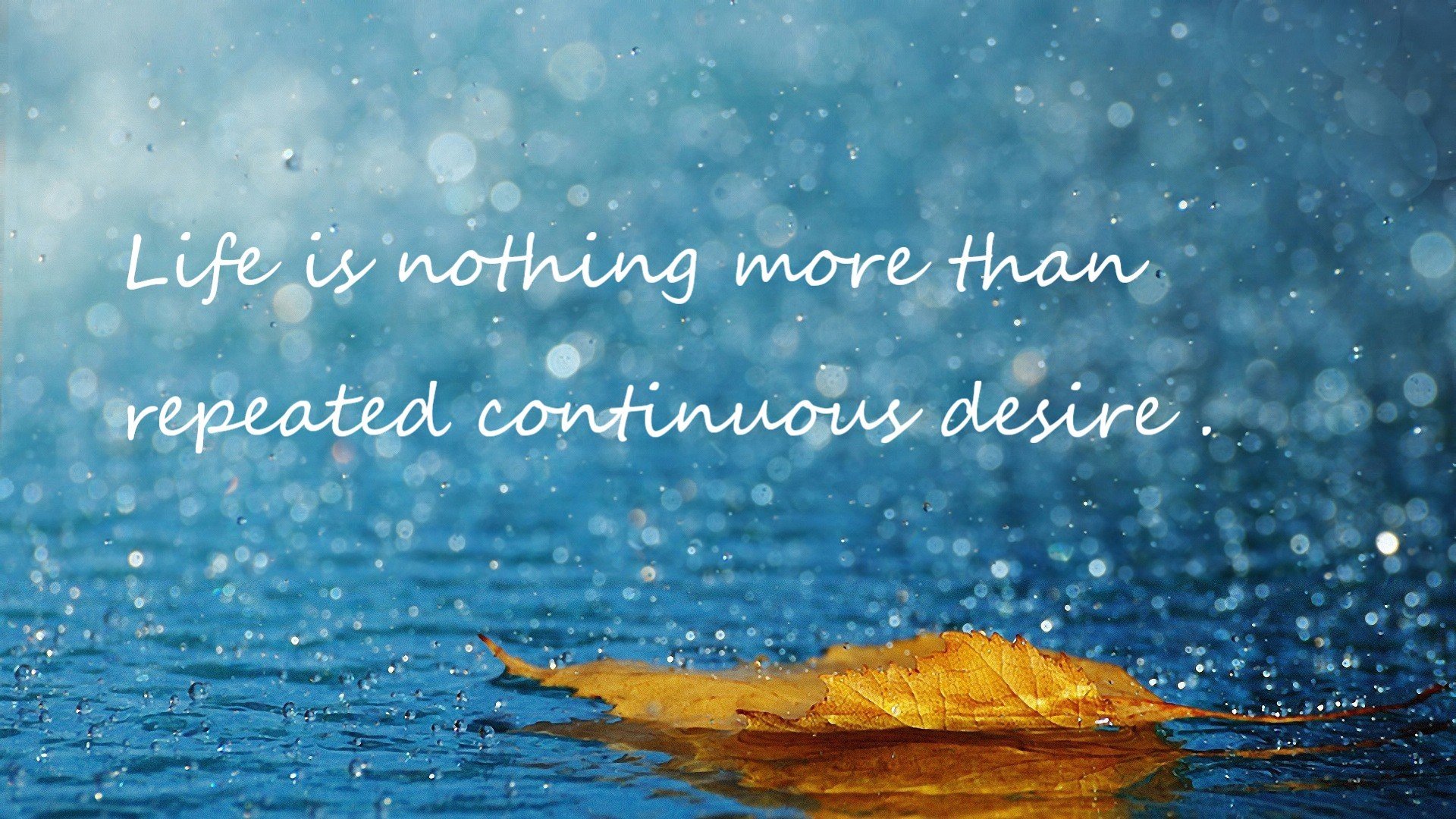 中国足球青少年比赛引入多维度表现报告系统，中国青少年足球发展路径选择