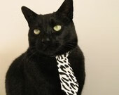 地方篮球俱乐部探索会员制运营模式增强社区联动机制,篮球俱乐部活动方案