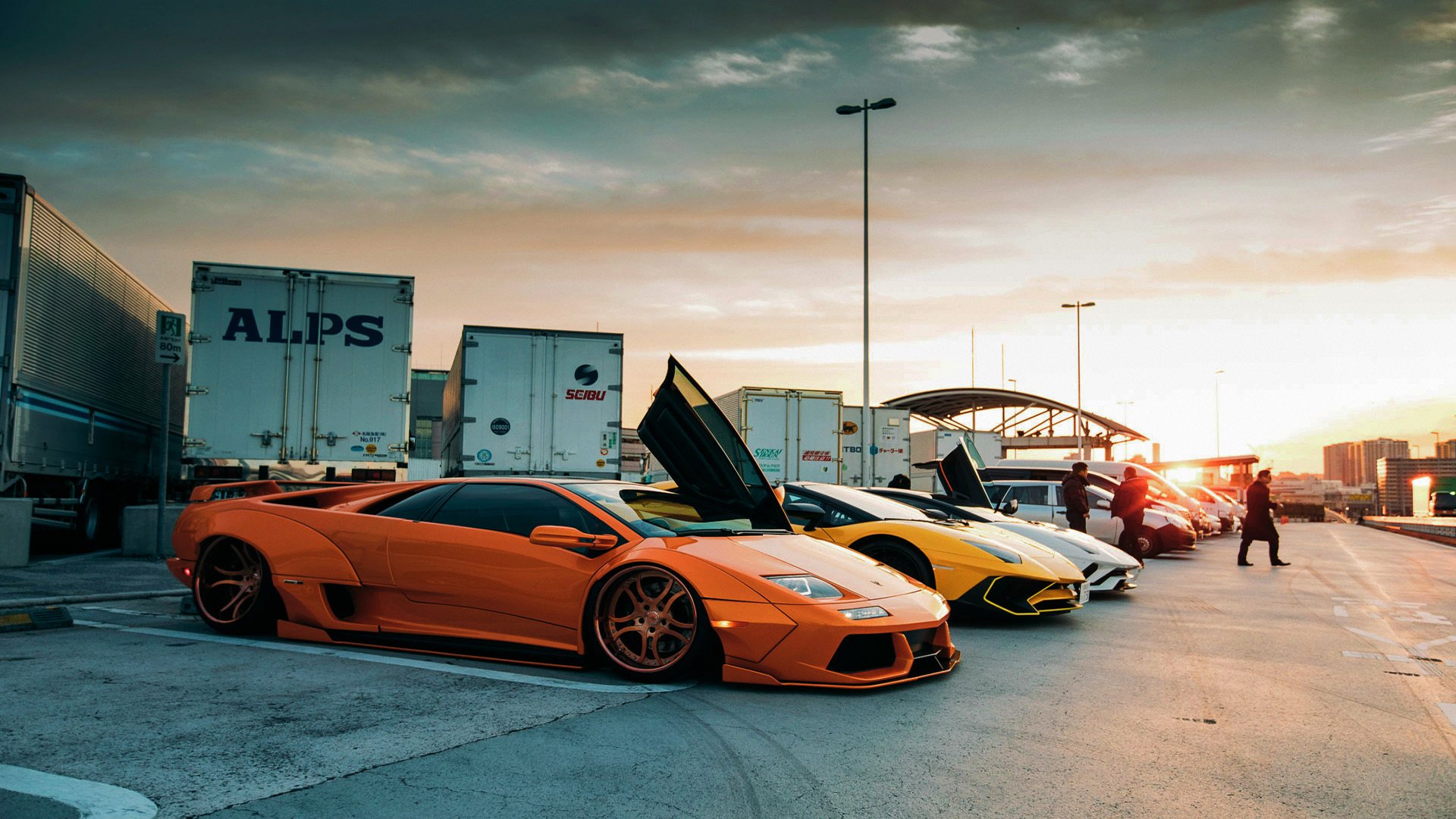 女子篮球加强战术多样化训练丰富比赛策略，女子篮球基础训练动作