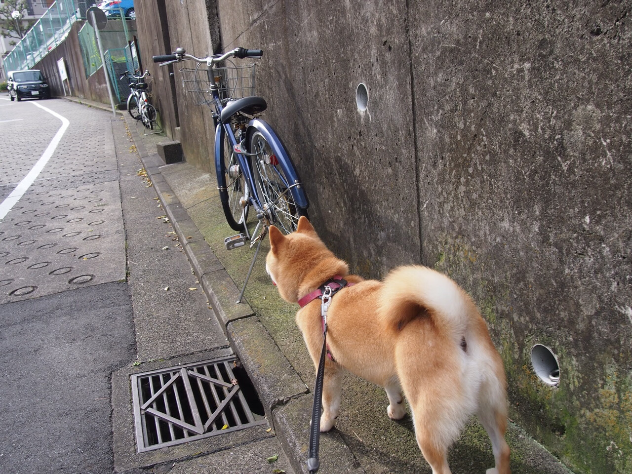 意甲超级传控:秒秒钟的精彩配合刷新纪录,意甲传奇
