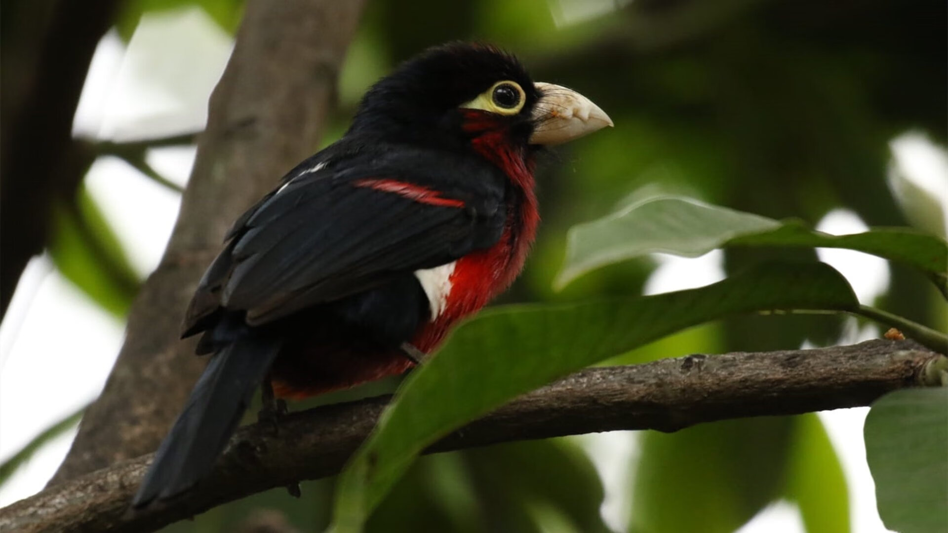 李娜赛场表现获赞网球公开赛,李娜网球公开赛冠军