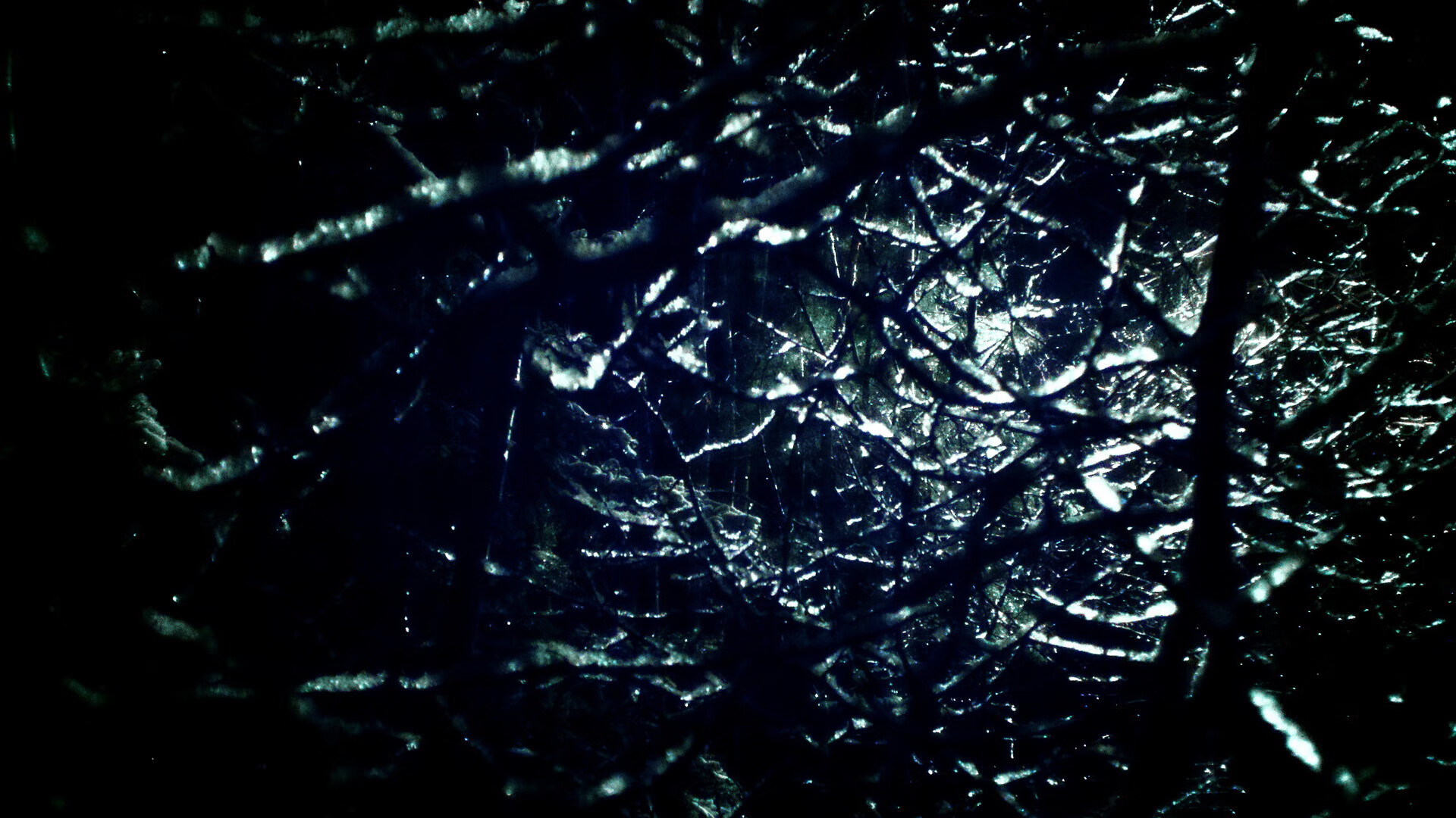 mk体育入口-林丹退役仪式引发球迷泪奔，林丹退役视频