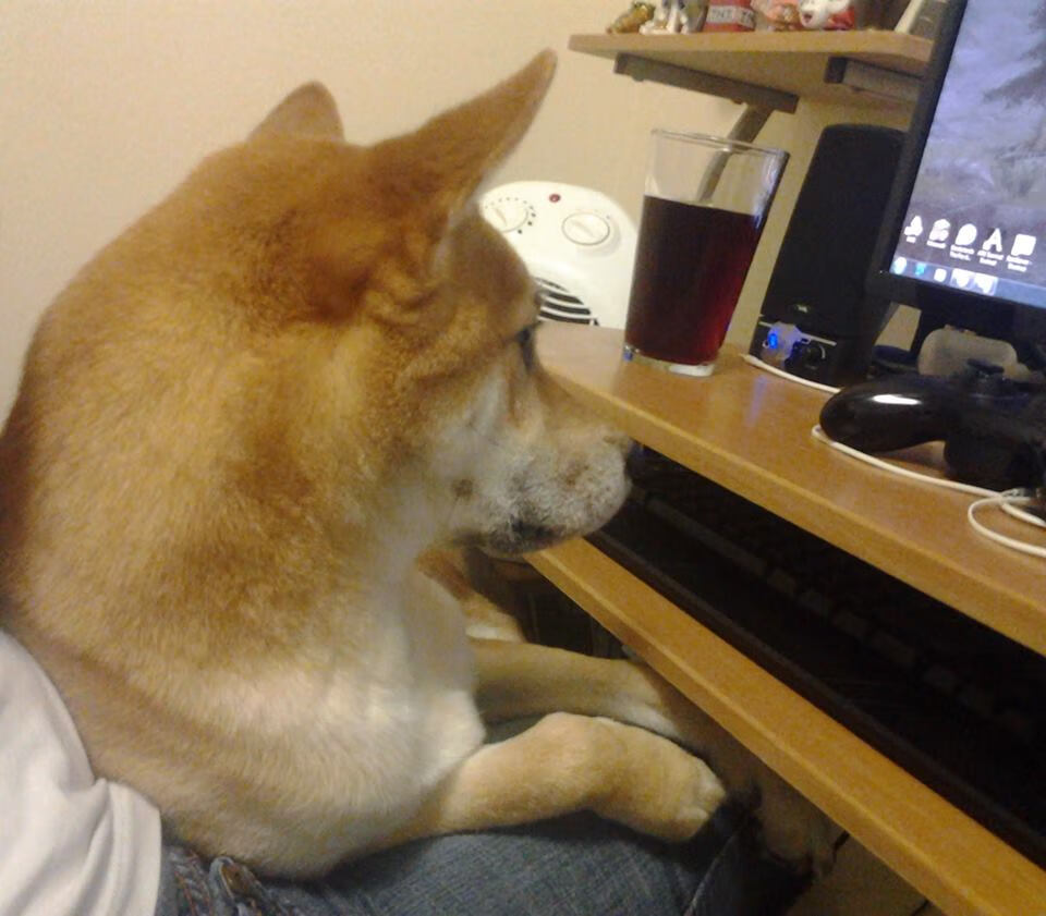 格鲁吉亚女篮在欧洲赛事上崭露头角,未来可期