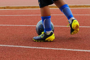 mk足球官网-蛙泳对决奥地利游出新速度，奥运会蛙游泳决赛视频