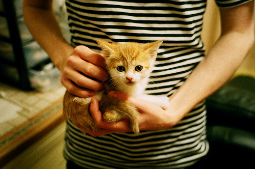 mk足球官网-赞比亚男篮在非洲预赛中奋勇争先，迈向历史新高峰，赞比亚阵容