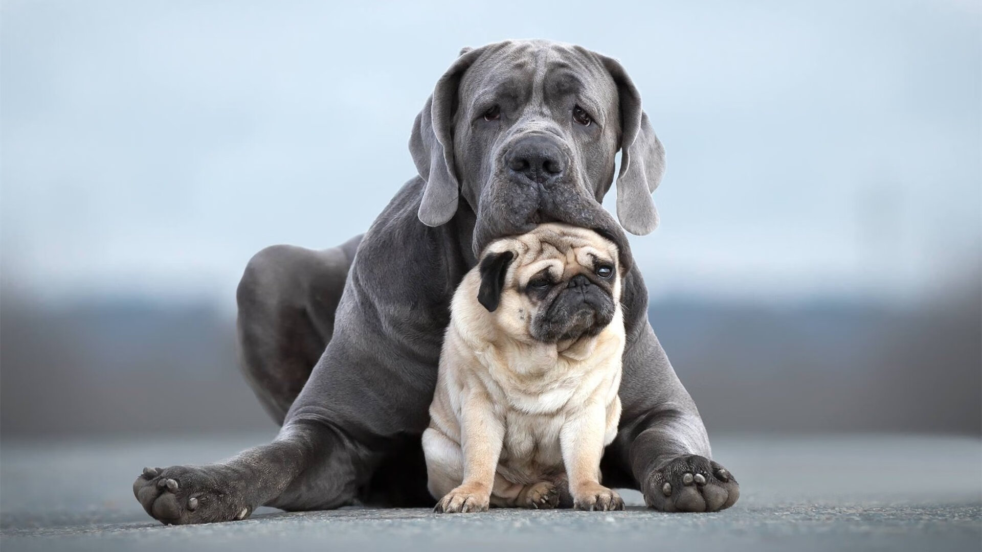 mk足球官网-CBA球队是否支持球员深造与学历提升，cba球员规定